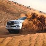 Al Qudra desert safari Profile Picture