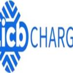 China LiCB EV Charger Profile Picture